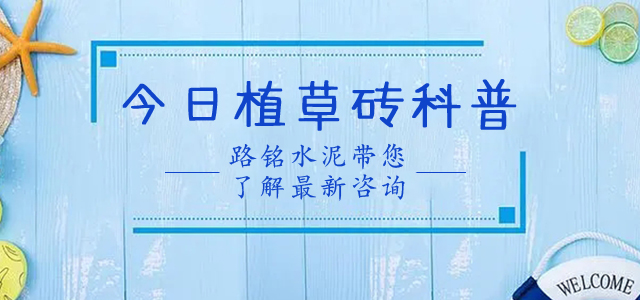 草坪砖有什么样的特点能使它在市场上如此受欢迎？
